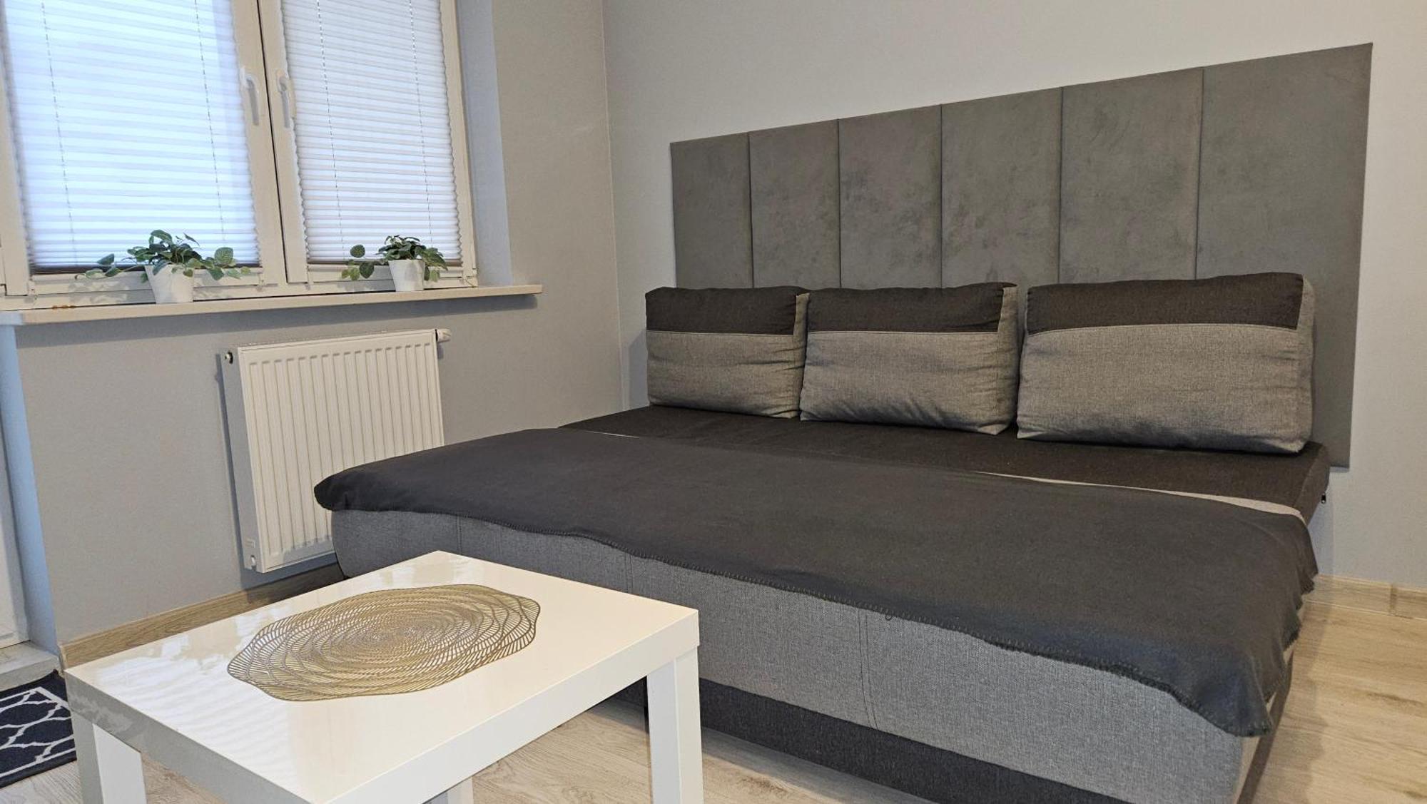 Jedenastka Apartment Plock Bagian luar foto
